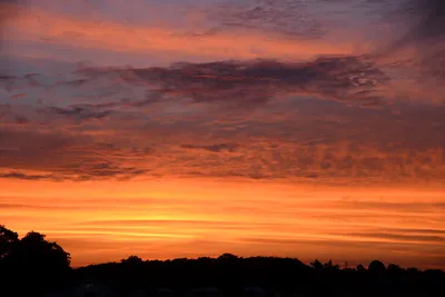 DSC_2182 (Large).JPG